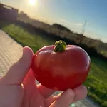 Agroreset *