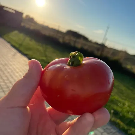 Agroreset Caloroczny *