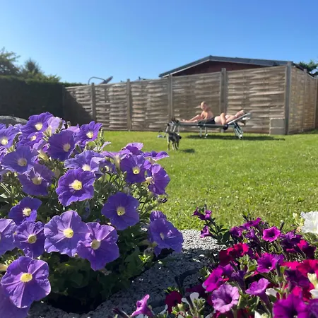 Agroreset Caloroczny * Korlino