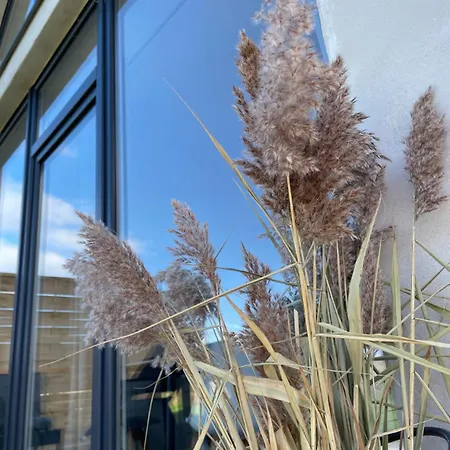 Agroreset Дом отдыха Korlino