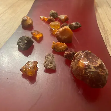 Agroreset Дом отдыха *